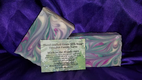 Walk In the Woods Soap Bar